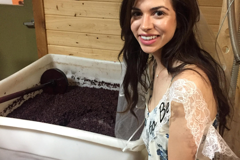 San Antonio: Fredericksburg Wineries Day Trip with Tastings Tour in English