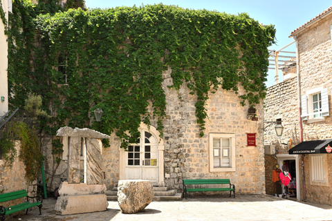 Tour of Montenegro: Budva or Kotor Day Tour from Tirana Montenegro Tour w/ Budva Visit