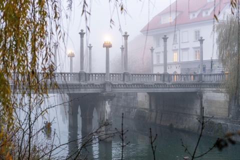 Best of Ljubljana: Private tour with Ljubljana born guide