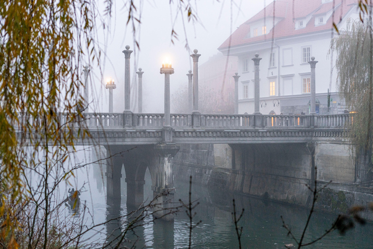 O melhor de Ljubljana: Excursão particular com um guia natural de Liubliana