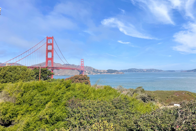 San Francisco Golden Gate Sausalito Muir Woods Private Tour Golden Gate, Sausalito & Muir Woods