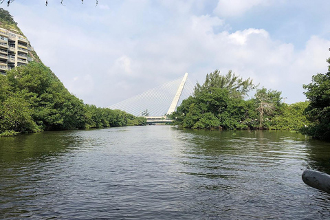 Rio de Janeiro: Ilha da Gigóia Canals and Wildlife Tour