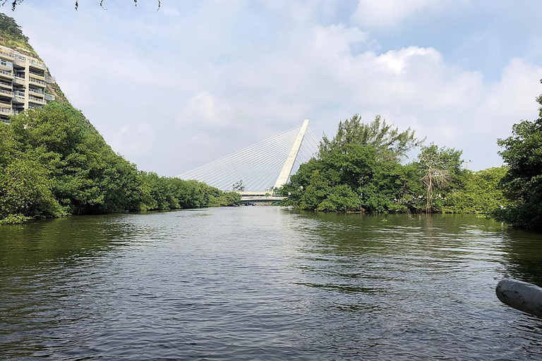 Rio de Janeiro: Ilha da Gigóia Canals and Wildlife Tour