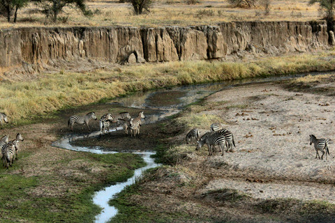 Zanzibar: Group Safari to Tarangire & Ngorongoro Crater