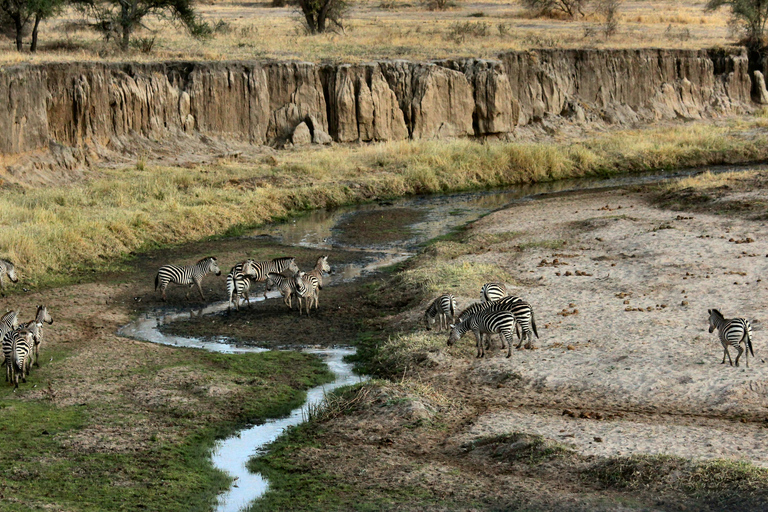 Zanzibar: Group Safari to Tarangire & Ngorongoro Crater
