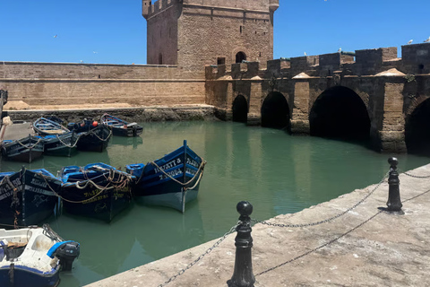 From Marrakech: Essaouira Day Trip with Free Time to Explore From Marrakech: Private Day Trip to Essaouira