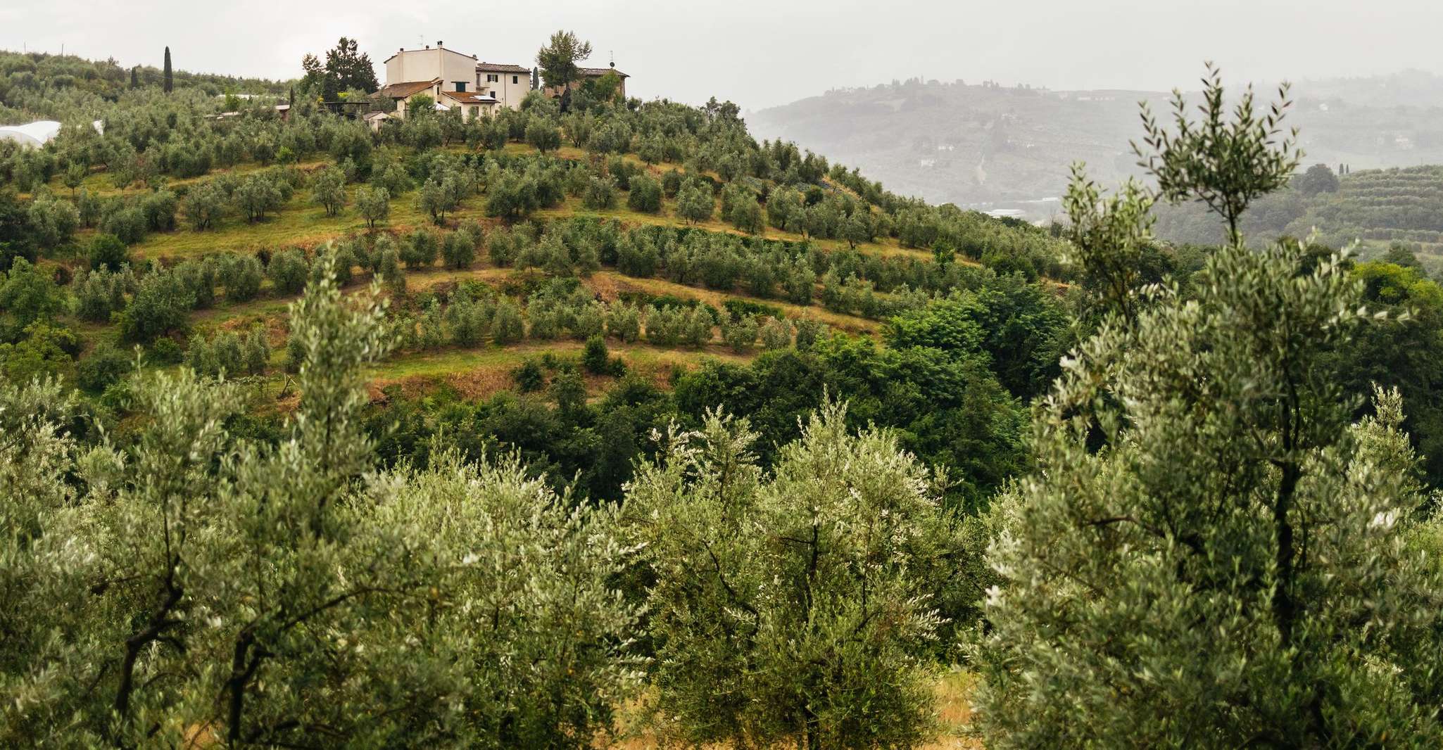 Florence: Countryside Vintage Fiat 500 Driving Tour photo 3
