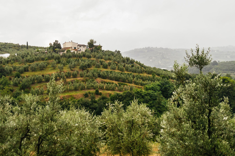 Florence: Countryside Vintage Fiat 500 Driving Tour
