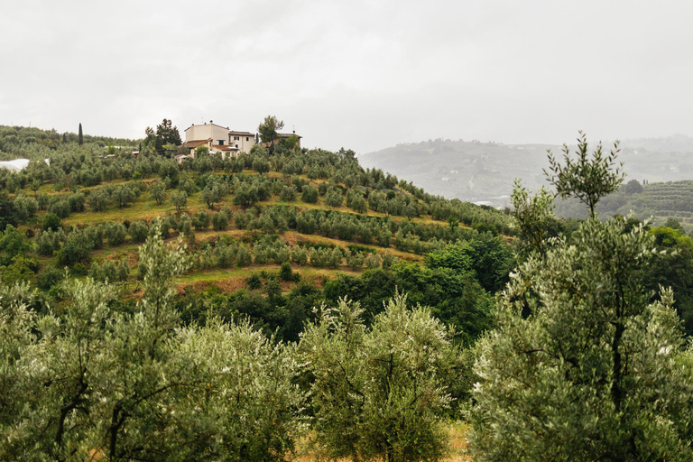 Florence: Countryside Vintage Fiat 500 Driving Tour