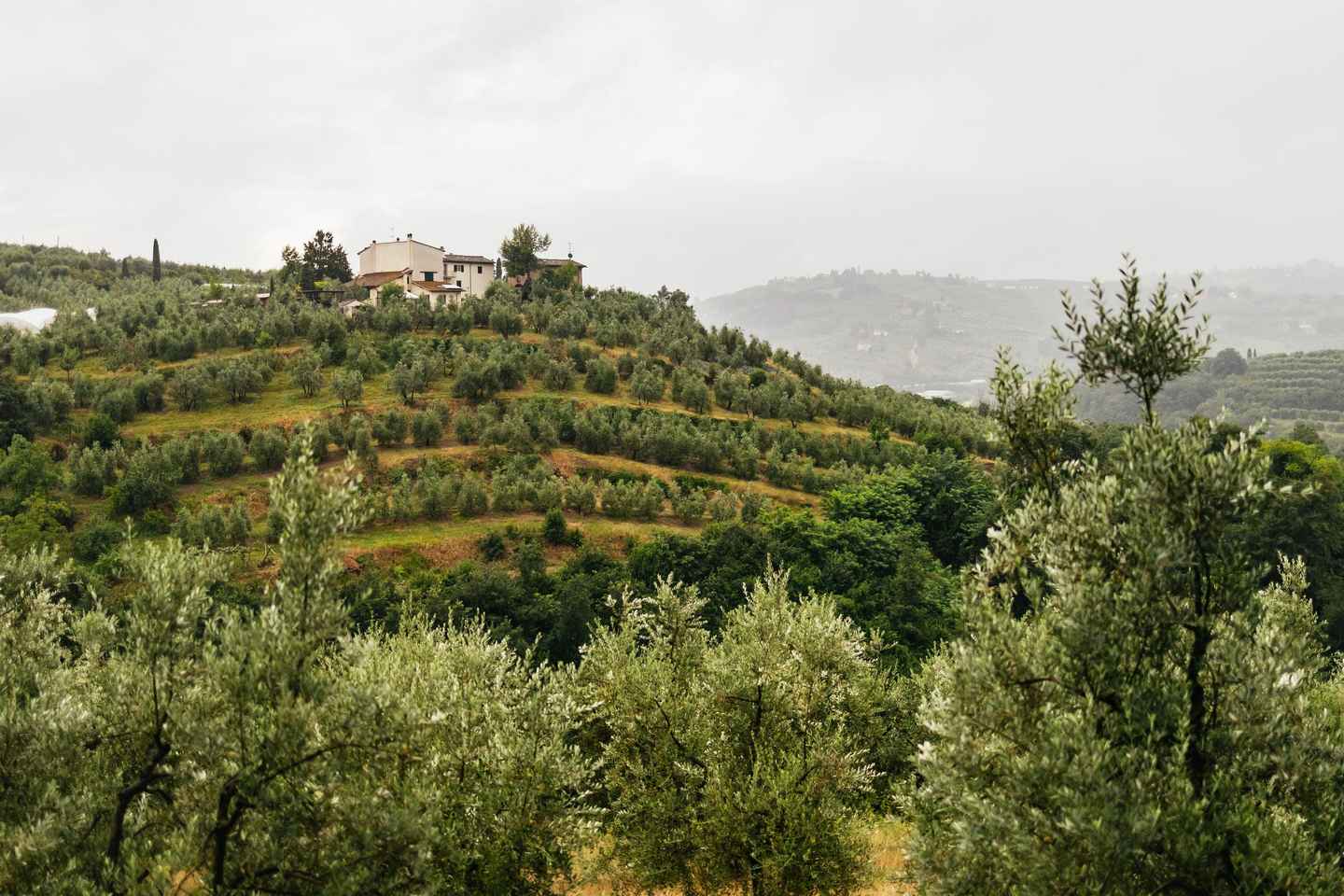 Florence: Countryside Vintage Fiat 500 Driving Tour