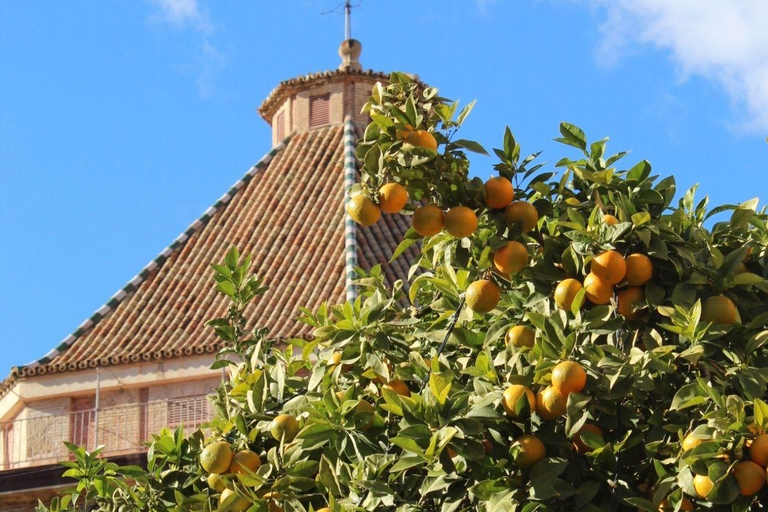 Málaga: Old Town Walking Tour & Local Life
