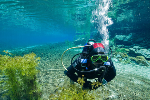 Lago Ohrid: prueba el buceo en la Bahía de los Huesos.Lago Ohrid: prueba el buceo en la Bahía de los Huesos