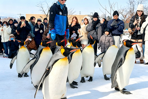 Sapporo: Asahiyama Zoo, Blue Pond & Chiyoda Farm Day Tour Private Sightseeing Tours