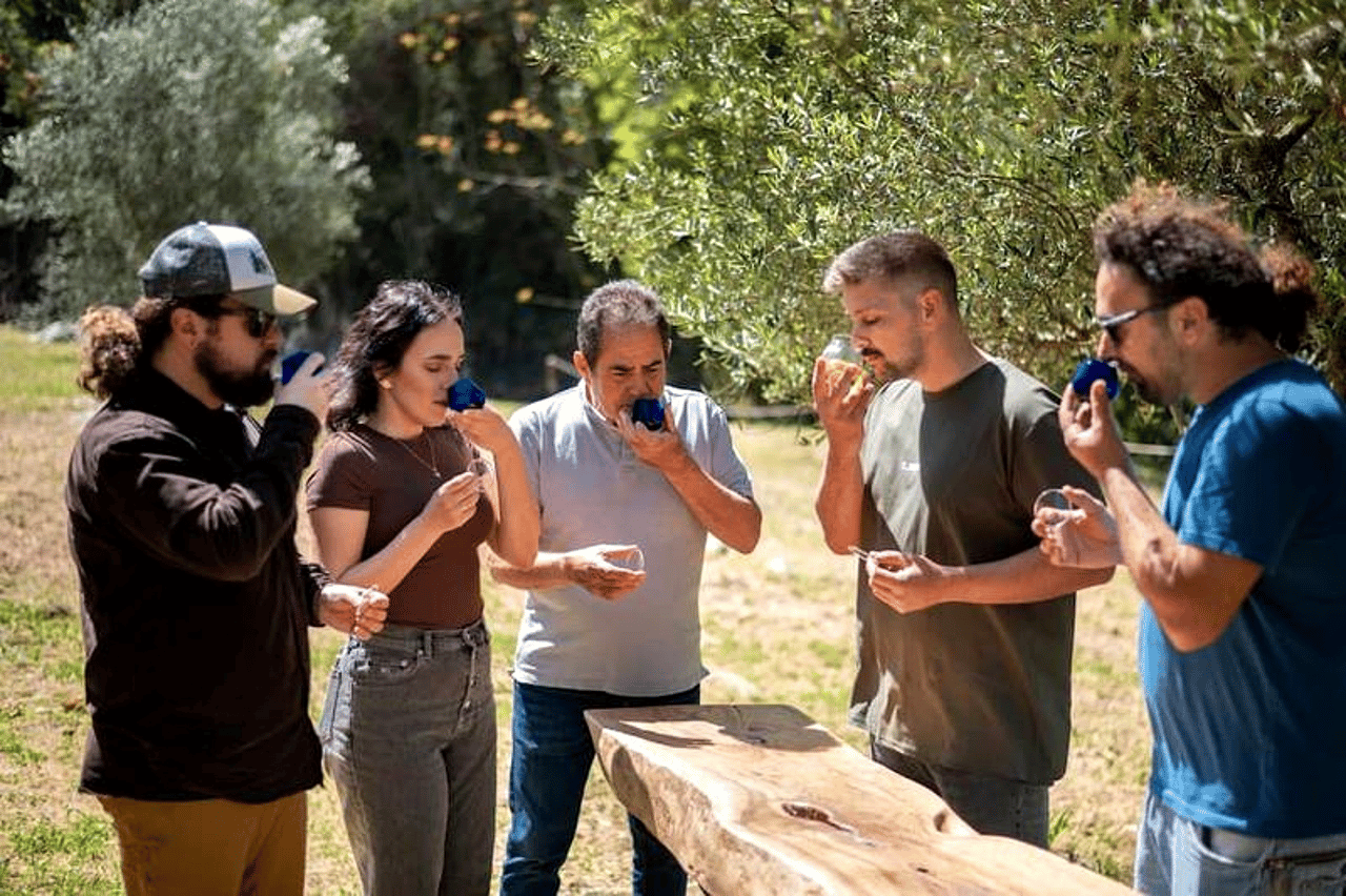 Nord-Korfu: Oliventour mit Olivenölverkostung und Mezze