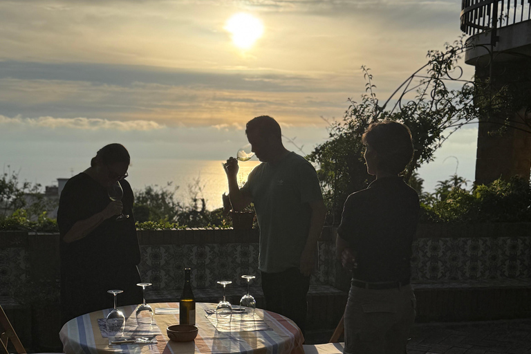 Sorrento: Cooking with a Local Chef & Wine Pairing by the Sea