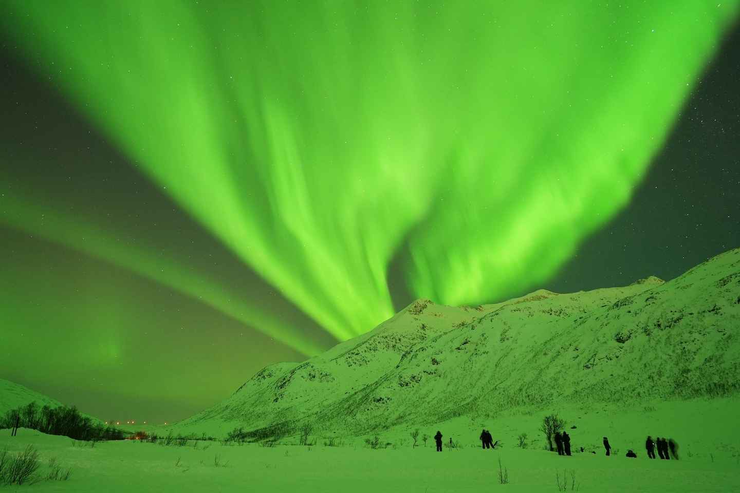 Troms: Northern Lights Pathfinder Guided Tour with photos - Tromsø: Northern Lights Pathfinder Guided Tour with photos