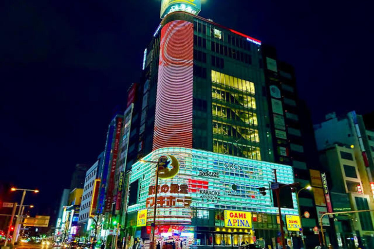 Tour clássico por Nagoya com van particular