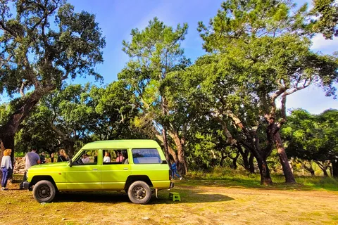Jeepsafari met bezoek aan wijnmakerij & wijnproeverij inbegrepen