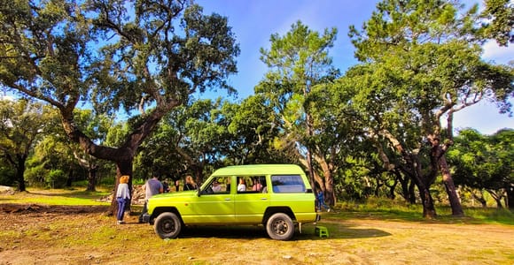 Jeepsafari met bezoek aan wijngaard en wijnproeverij inbegrepen
