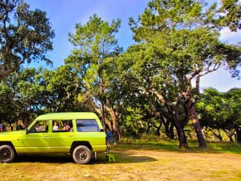Jeep Safari with Winery Visit & Wine Tasting included