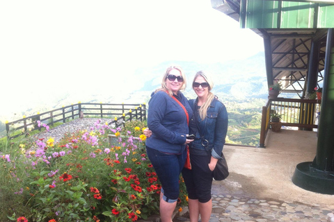 Medellin: Palmitas Coffee Tour