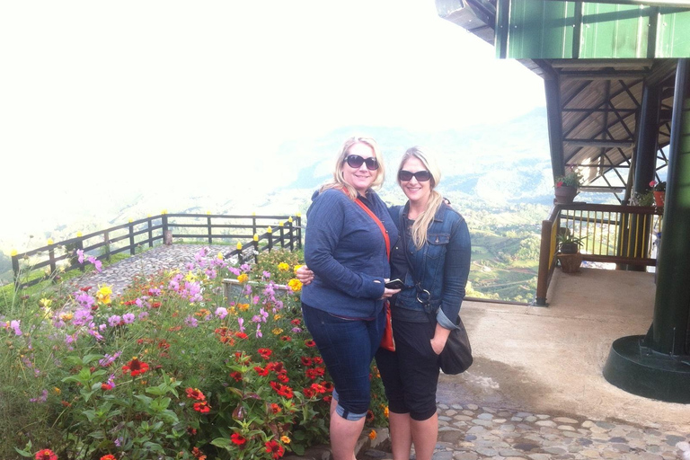 Medellin: Palmitas Coffee Tour