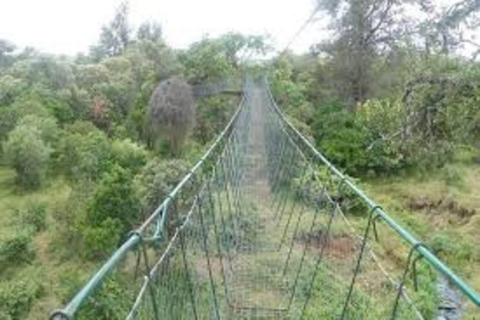 Safari nell&#039;Ol Pejeta Conservancy da Nairobi