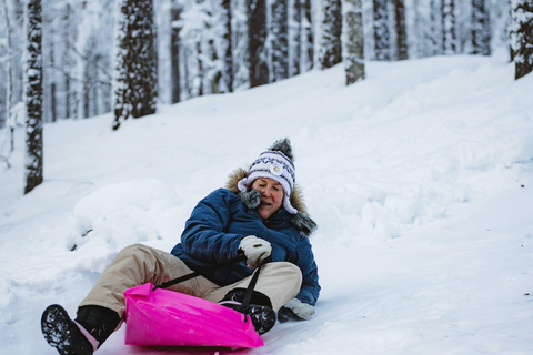 Levi：Arcandia，精灵法庭/日光和公园/黑暗精灵法庭：3 小时体验和公园之旅