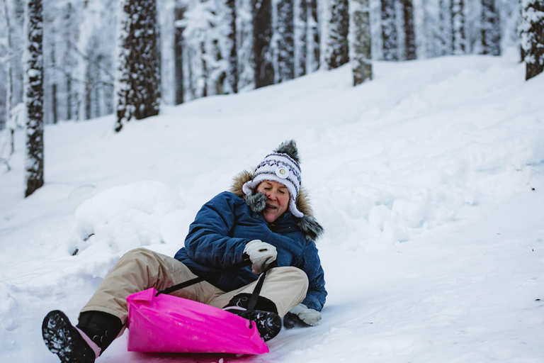 Levi：Arcandia，精灵法庭/日光和公园/黑暗精灵法庭：3 小时体验和公园之旅