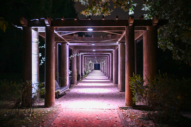 Porto: Serralves Em Luz Immersive Light Show Entry Ticket