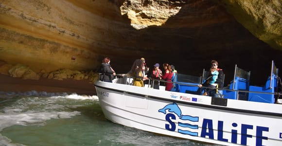 Desde Lagos: Cueva de Benagil y Crucero Costero en Catamarán