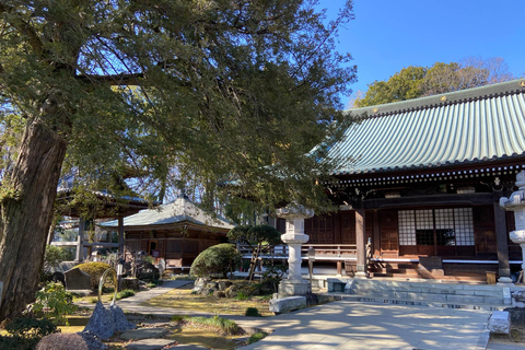 Tóquio: Explora a vida autêntica de um bairro residencial