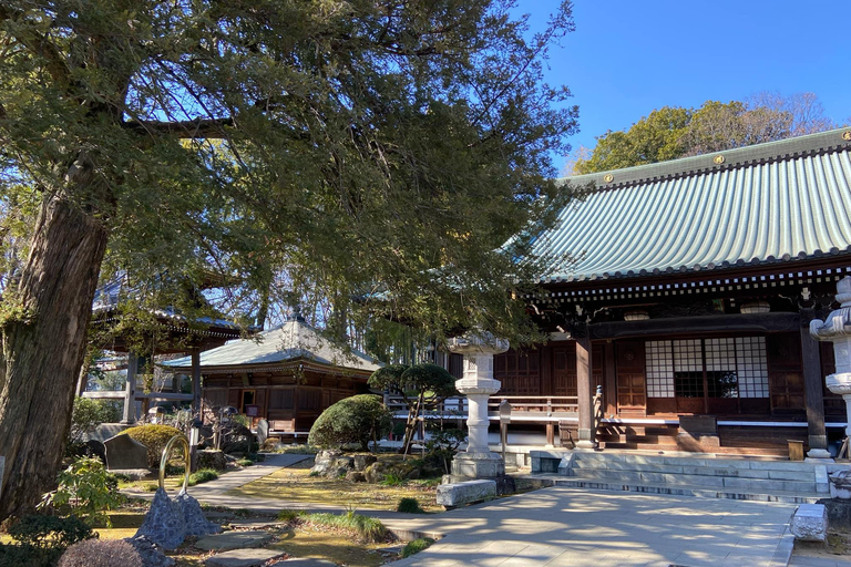Tóquio: Explora a vida autêntica de um bairro residencial
