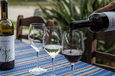 Safaris de lujo en jeep por Chania: Secretos de la cata de vino y aceite de olivaJeep Premium