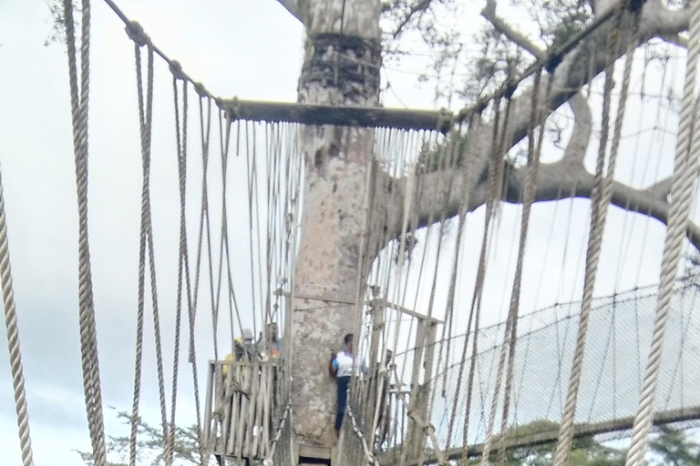 Assin Manso Slave River, Cape Coast Castle and Kakum Tour