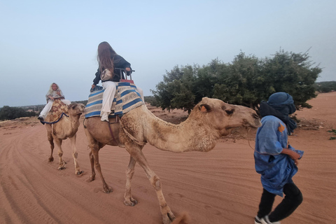 Sunset Buggy Adventure with Camel Ride and Moroccan Tea Shared Buggy Offer
