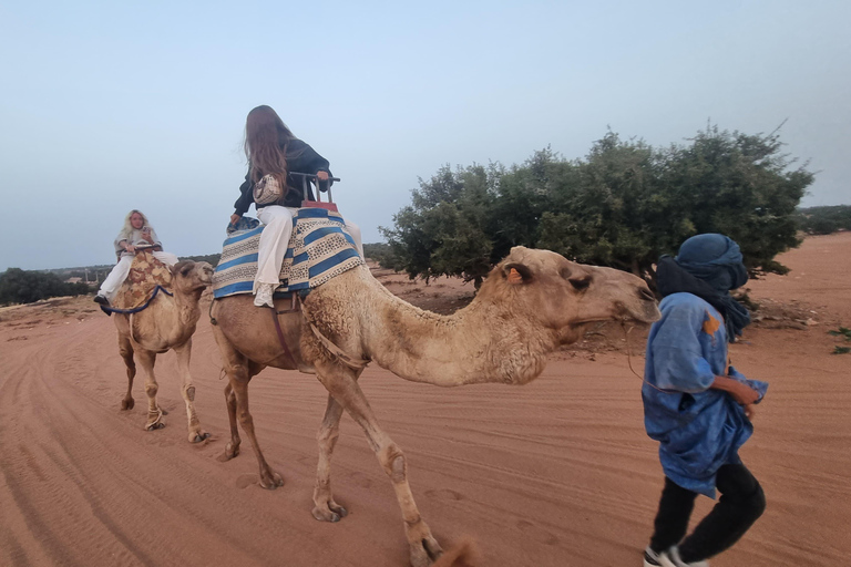 Sunset Buggy Adventure with Camel Ride and Moroccan Tea Shared Buggy Offer