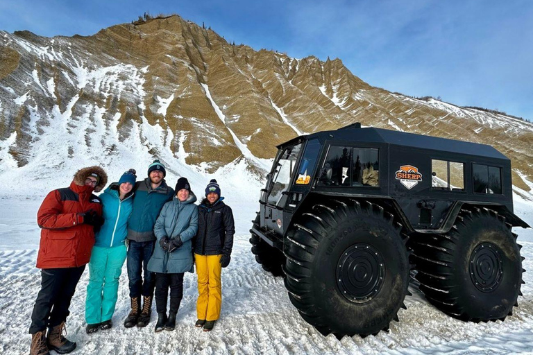 Fairbanks Excursión de día completo a la Aventura Invernal de Denali