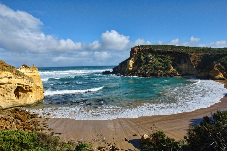 Melbourne: Great Ocean Road Reverse Tour with 12 Apostles Central Melbourne Meeting Point