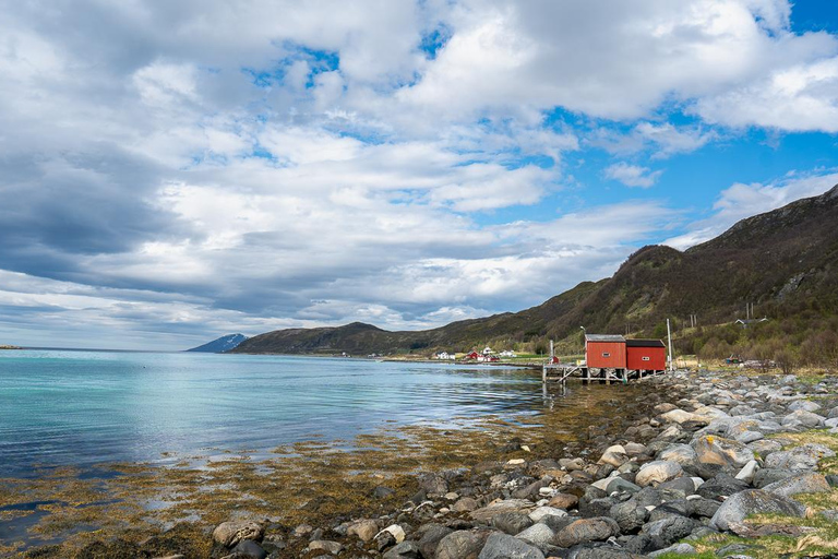 From Tromsø: Experience Vannøya Island Wild, Remote & Real