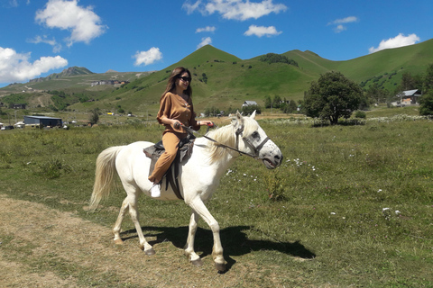 Visite d'une jounée privée des montagnes Gudauri et Kazbegi