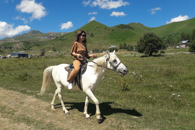 Excursão guiada particular de 1 dia para as montanhas Gudauri e Kazbegi