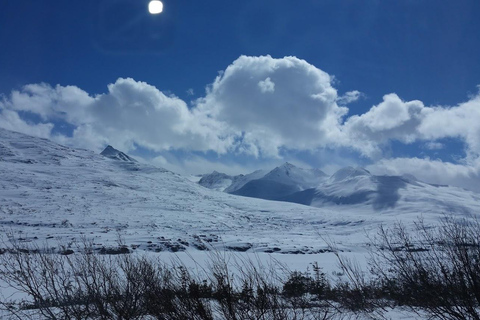 Skagway: Yukon Suspension Bridge & White Pass Scenic Tour