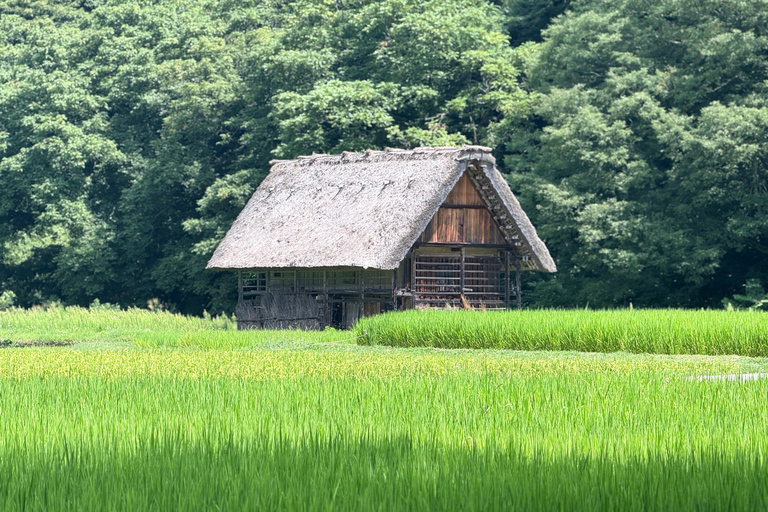 Kanazawa: Shirakawago, Gokayama, and Takayama Full Day Trip