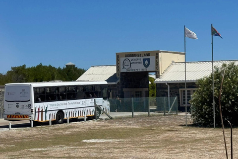 Cape Town: Robben Island Ticket With Ferry Check-in Help