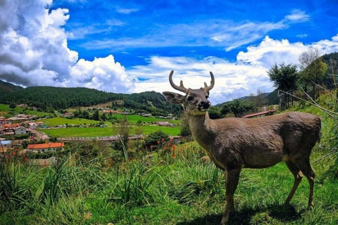 Cajamarca : Granja Porcón y Otuzco