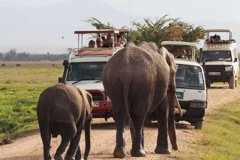 Mombasa: Tsavo East & Amboseli 3-Day Safari with Meals