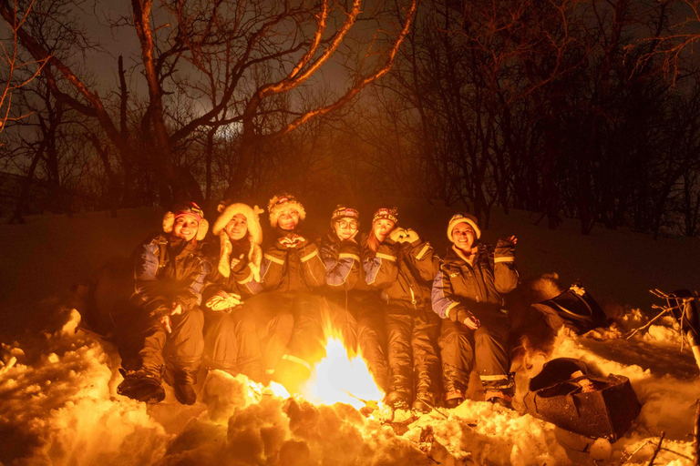 Tromsø: Northern Lights Tour with Local Guide