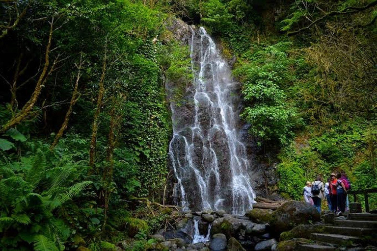 From Batumi: Best of Adjara –Waterfalls, History & Coastline