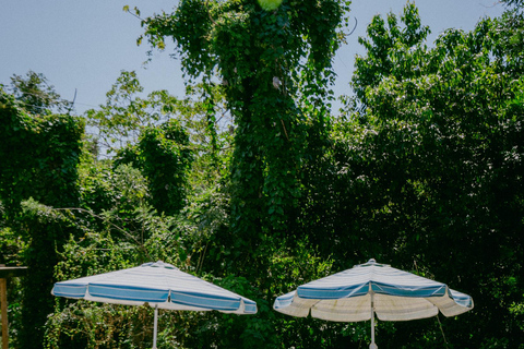 Full-day tour on off-road motorcycles